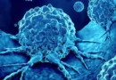 Tumori, una proteina aiuta il cancro a tenersi in vita: studio italiano in copertina su Science